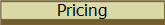 Pricing